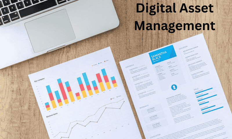 Digital Asset Management System